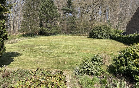 Bouwgrond te koop in Holsbeek