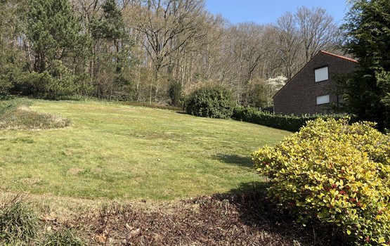 Bouwgrond te koop in Holsbeek