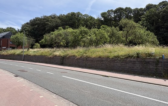 Bouwgrond te koop in Holsbeek