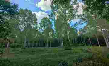 Landbouwgrond in Haacht