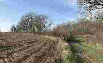 Landbouwgrond in Holsbeek