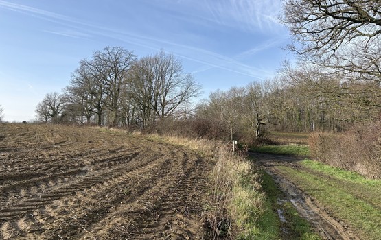 Landbouwgrond te koop in Holsbeek