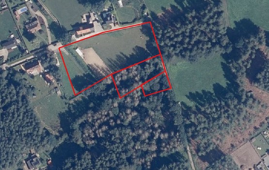 Weide te koop in Langdorp
